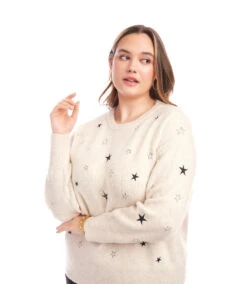 Plus Size Embroidered Stars Sweater -Karen Kane Store 3L89129W OAT karenkane 2025 fall 00 4