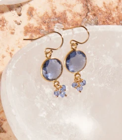 Iolite Dangle Earrings -Karen Kane Store 57384794 6928 4071 BF2F CBE780C3AA3B